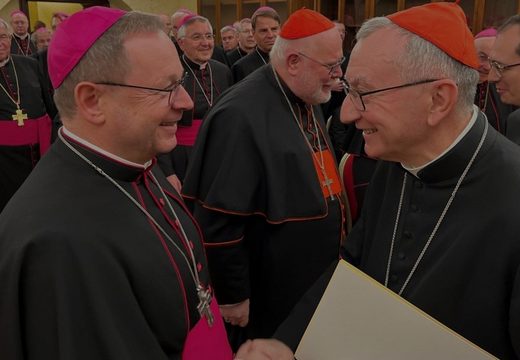 Camino Sinodal se reúne con autoridades vaticanas