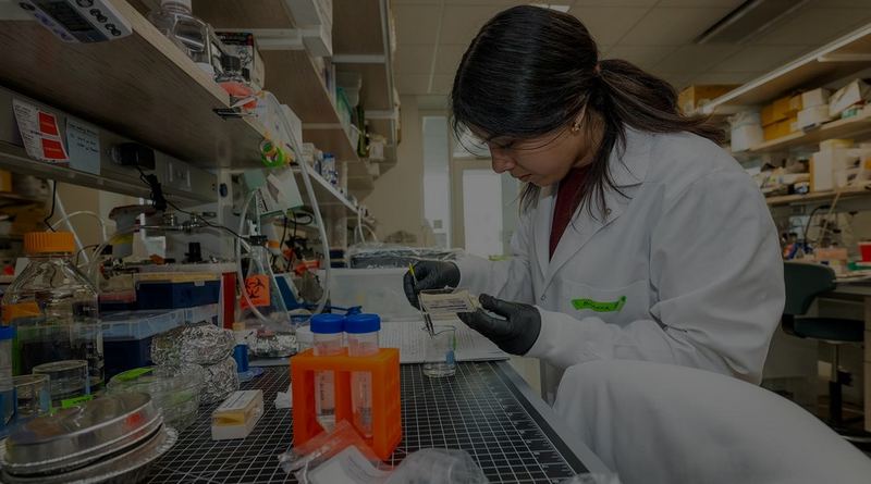 La investigación científica bajo ataque, advierte la Santa Sede