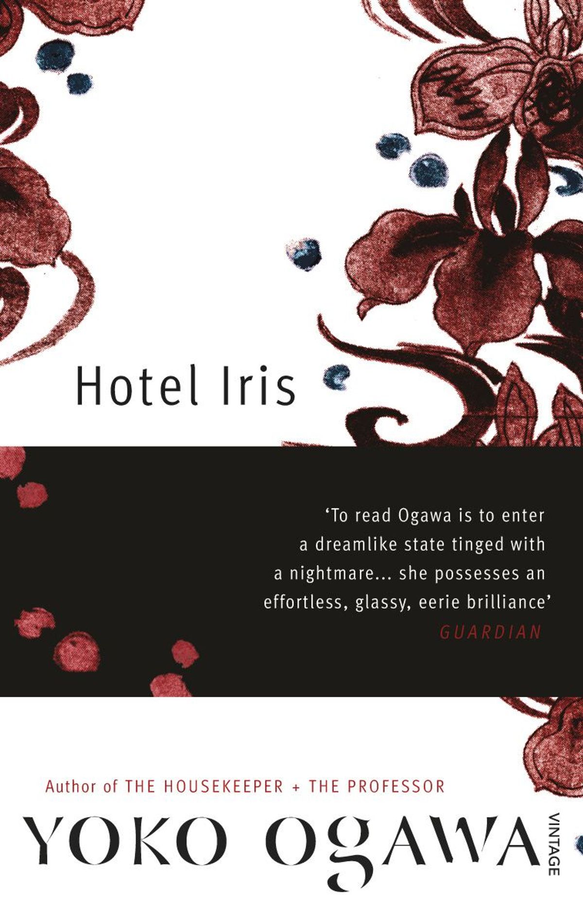 Hotel Iris (ホテル・アイリス) – Yoko Ogawa