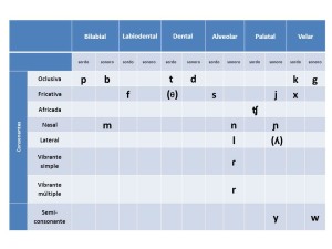 Cuadro Fonológico De Las Consonantes Del Español