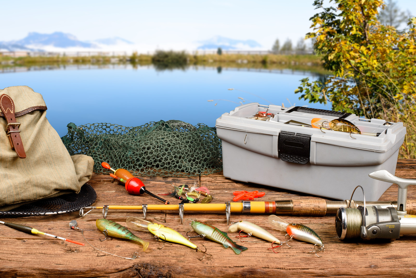 Los elementos importantes de un equipo de pesca – Blog de la PUCP