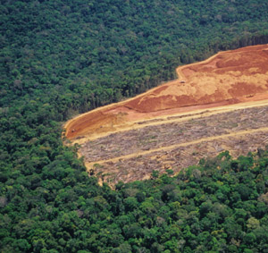 deforestación222