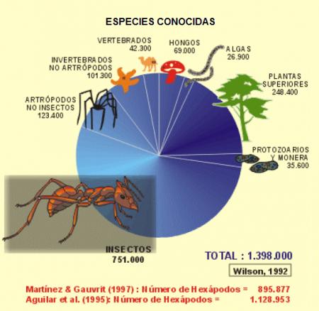 20111106-ESPECIES CONOCIDAS.png