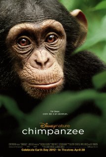 20141113-chimpanzee.jpg
