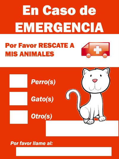 20100228-Sticker emergencia gato.jpg