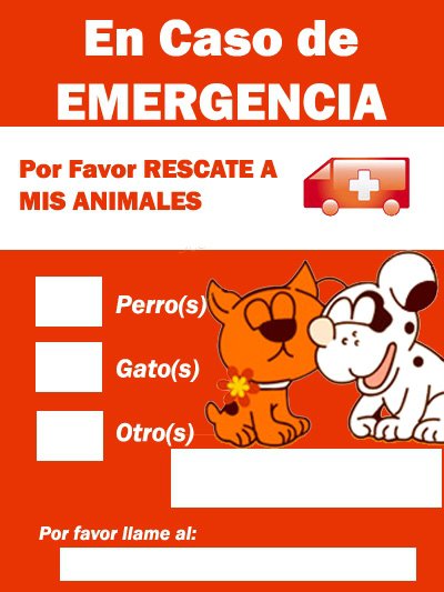 20100228-Sticker emergencia perro y gato.jpg