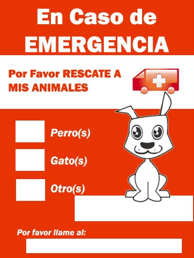 20100228-Sticker emergencia perro.jpg
