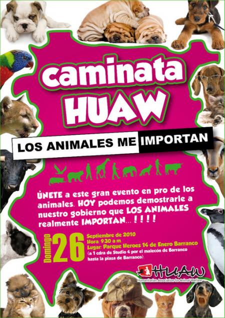 20100912-caminata huaw set.jpg