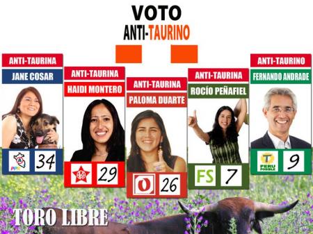 20110401-Candidatos fb animalistas.jpg