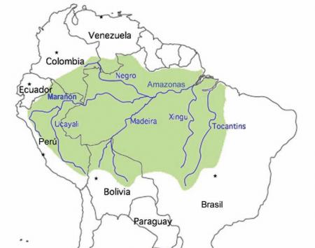 Cuenca del Amazonas