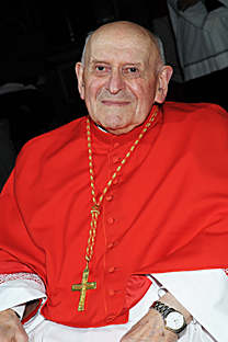 Cardenal Ries
