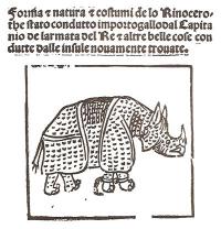 20130629-penni-rhinoceros-1515-400.jpg