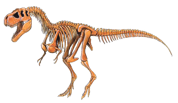 Tyranosaurio rex