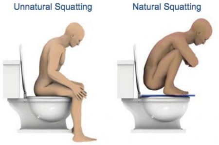 Interesante: mecánica de ir al baño ¿cluclillas o sentado? – Blog de ArturoDiazF