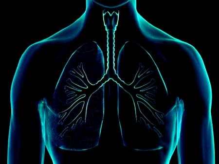 20141220-pulmones.jpg