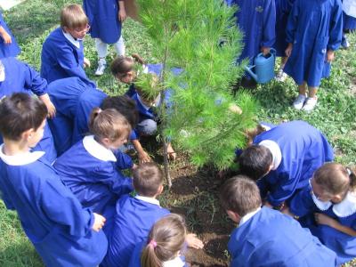 Niños de una escuela italiana plantando pinos 