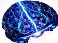 Los científicos creen que los astrocitos están involucrados en la epilepsia.