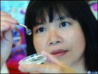 La profesora May Griffith muestra la córnea biosintética que logró reparar la visión.